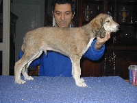 Vaquyam Ibn Rashid